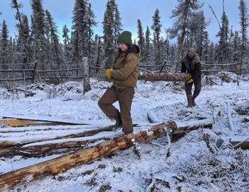 Vignette du programme télé Seuls face à l'Alaska