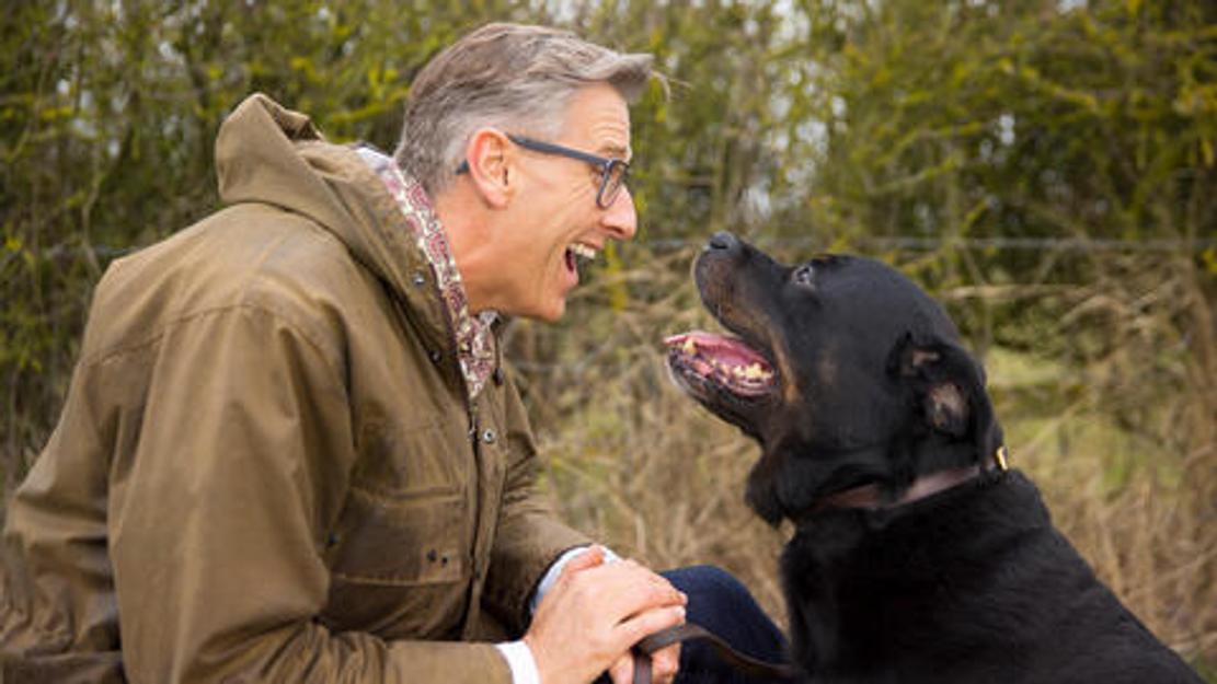 Vignette du programme télé Chiens hors de contrôle : un dresseur à la rescousse