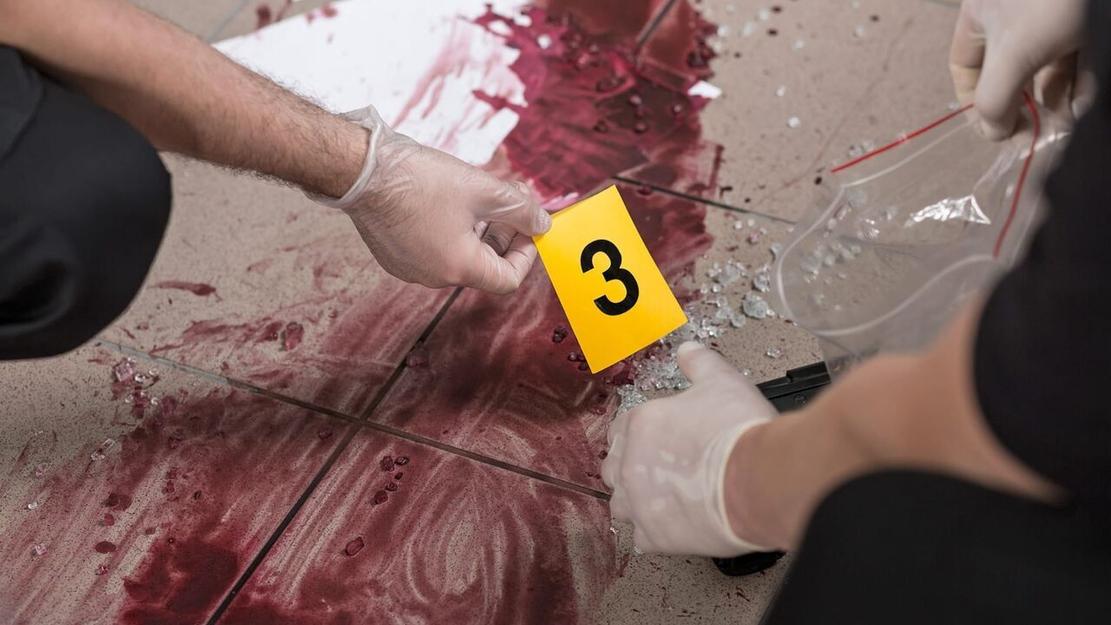 Vignette du programme télé Crimes