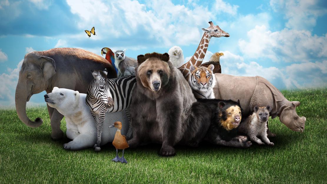Vignette du programme télé Chiens hors de contrôle : un dresseur à la rescousse