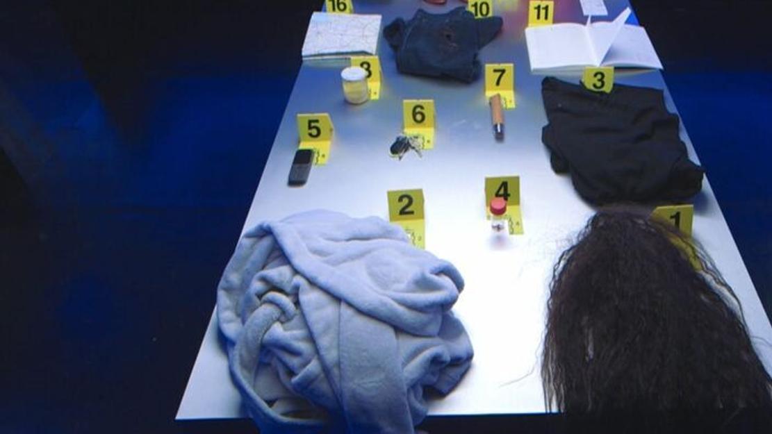 Vignette du programme télé Indices