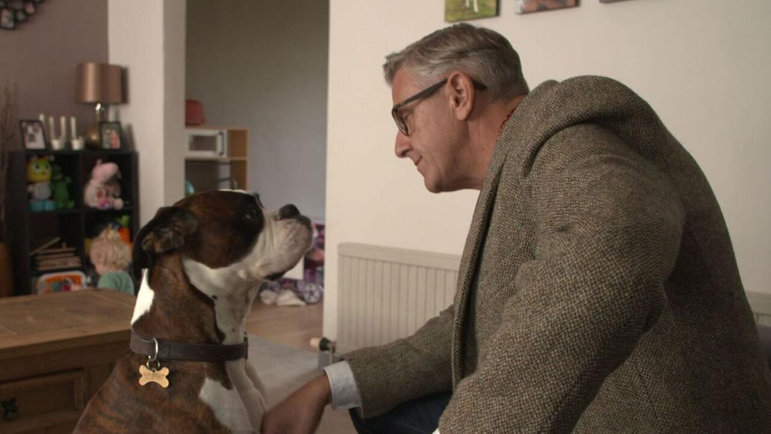 Vignette du programme télé Chiens hors de contrôle : un dresseur à la rescousse