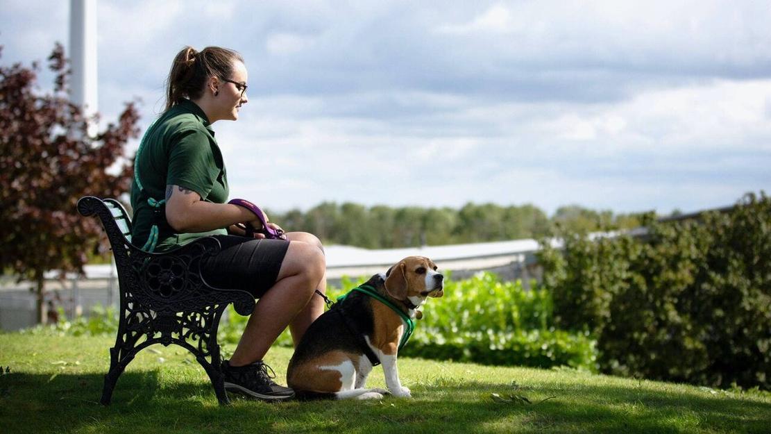 Vignette du programme télé Dog House : un chien pour la vie