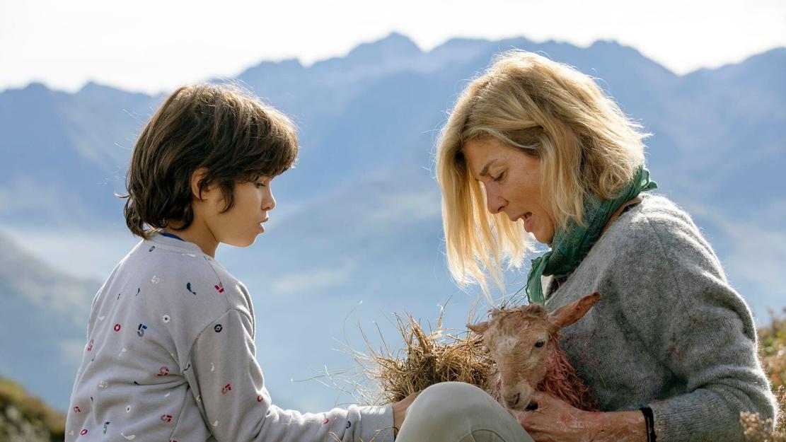 Vignette du programme télé Belle et Sébastien : nouvelle génération