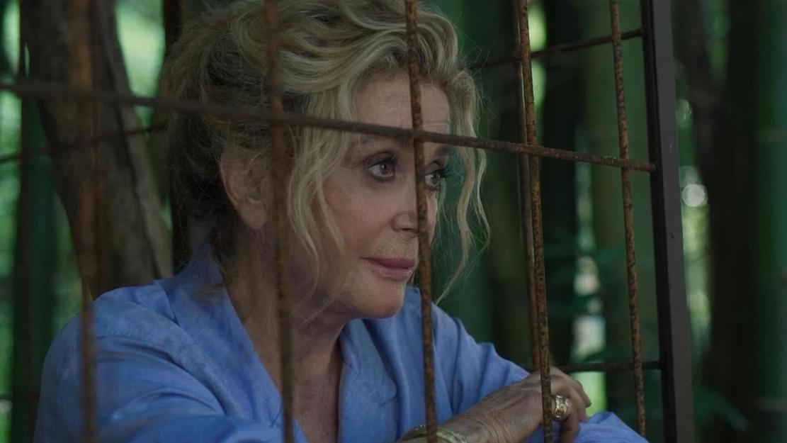 Vignette du programme télé Terrible jungle