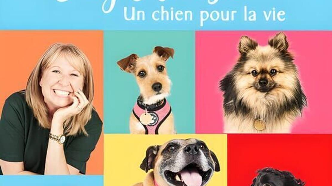 Vignette du programme télé Dog House : un chien pour la vie