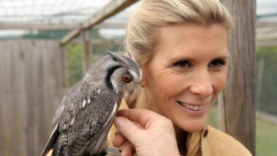 Vignette du programme télé Hélène et les animaux