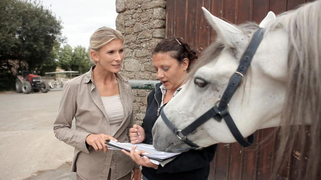 Vignette du programme télé Hélène et les animaux