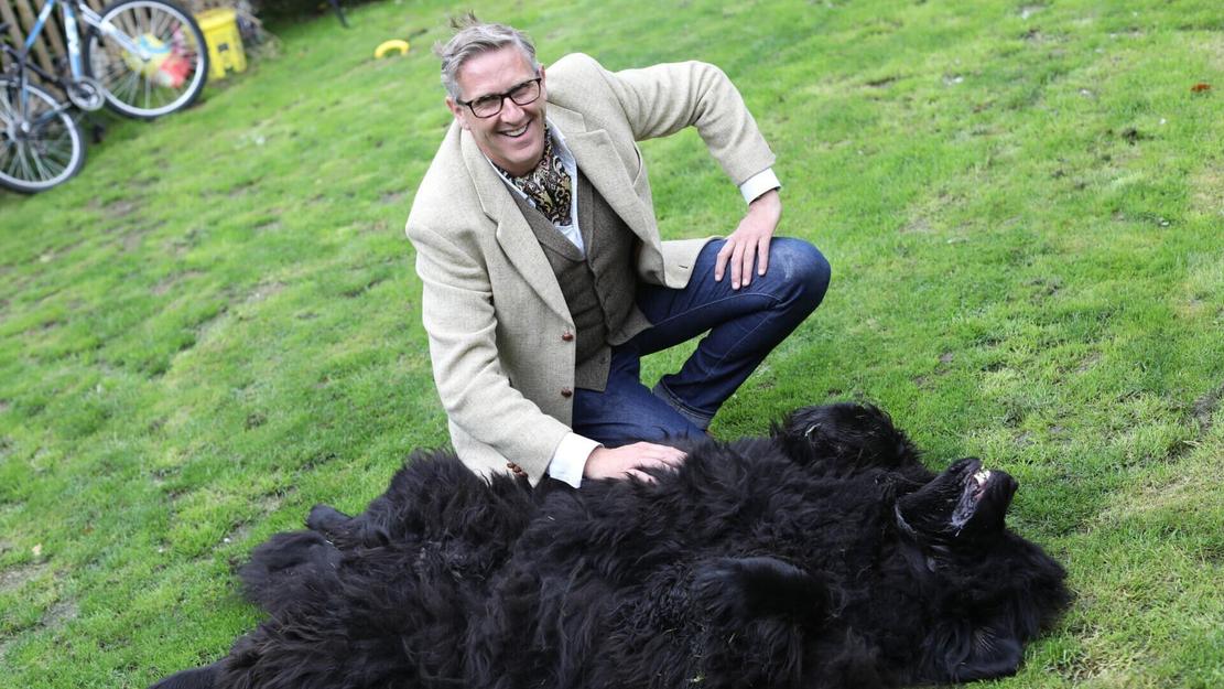 Vignette du programme télé Chiens hors de contrôle : un dresseur à la rescousse