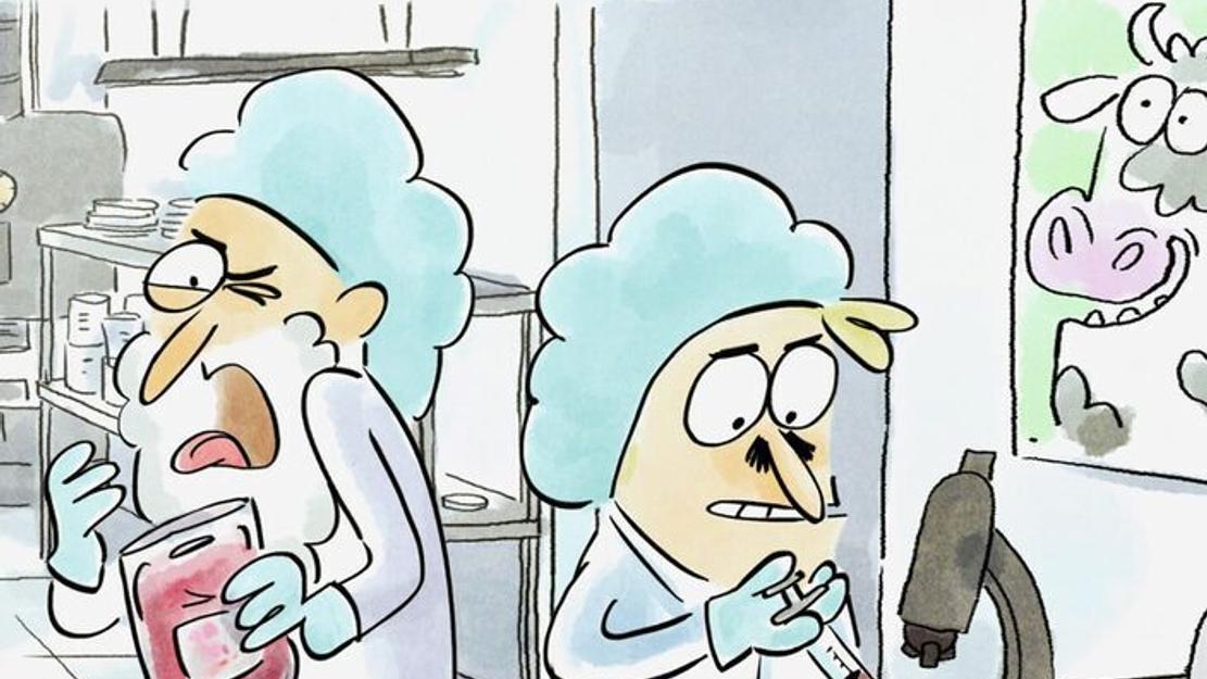 Vignette du programme télé Tu mourras moins bête
