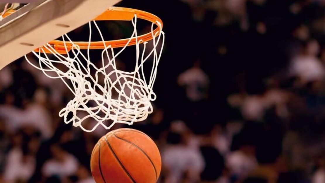 Vignette du programme télé Basket-ball : Match amical international