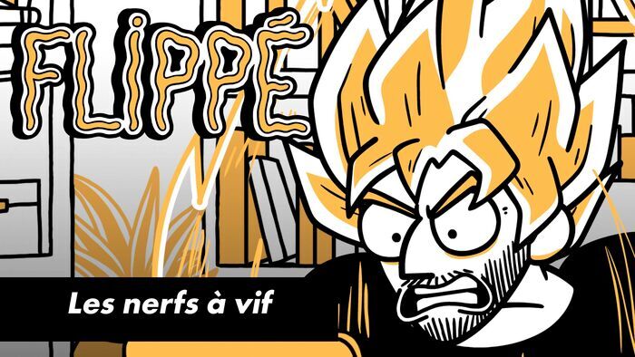 Vignette du programme télé Flippé