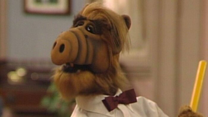Vignette du programme télé Alf