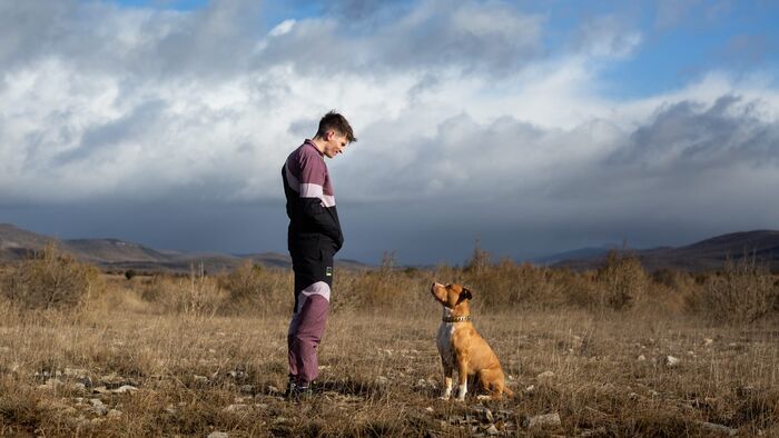 Vignette du programme télé Chien de la casse