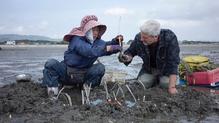 Vignette du programme télé Au bout c'est la mer