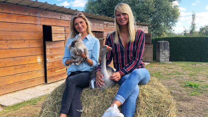 Vignette du programme télé Animaux à adopter