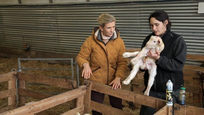 Vignette du programme télé Hélène et les animaux
