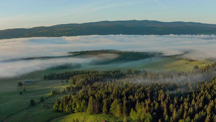 Vignette du programme télé La Suisse sauvage