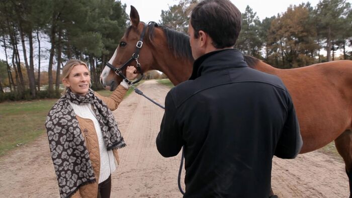 Vignette du programme télé Hélène et les animaux