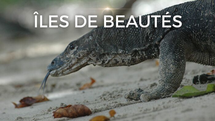 Vignette du programme télé Iles de beautés