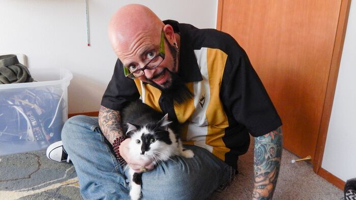 Vignette du programme télé Hell's Cat : mon chat est un cauchemar