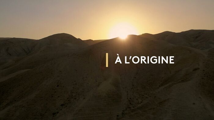 Vignette du programme télé À l'origine