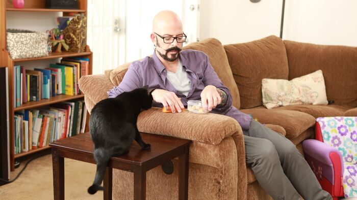 Vignette du programme télé Hell's Cat : mon chat est un cauchemar