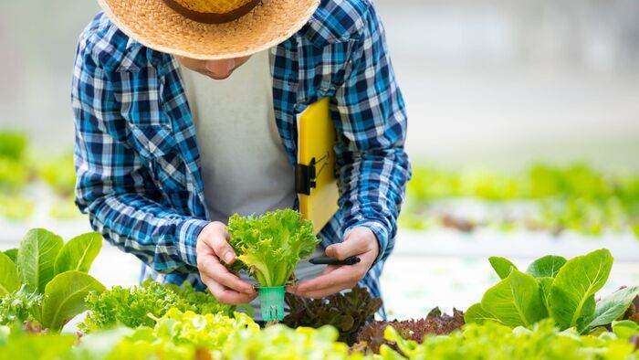 Vignette du programme télé L'agriculture c'est fini