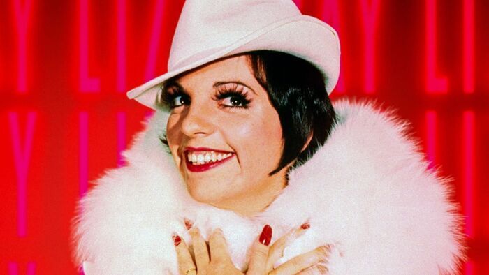 Vignette du programme télé Liza Minnelli, la dernière héritière d'Hollywood