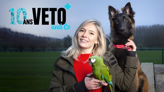 Vignette du programme télé Véto & Co