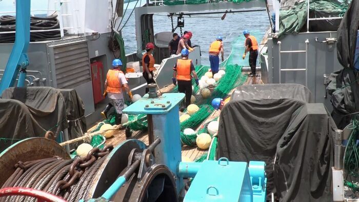 Vignette du programme télé Bateaux neufs, filets vides : pêcheurs de Sierra Leone