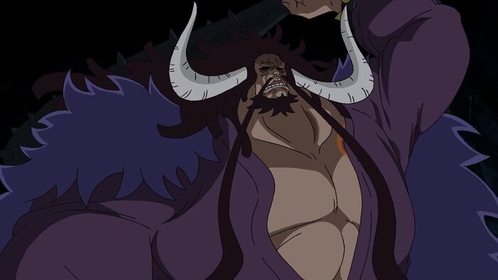 Vignette du programme télé One Piece