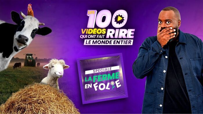Vignette du programme télé Les 100 vidéos qui ont fait rire le monde entier