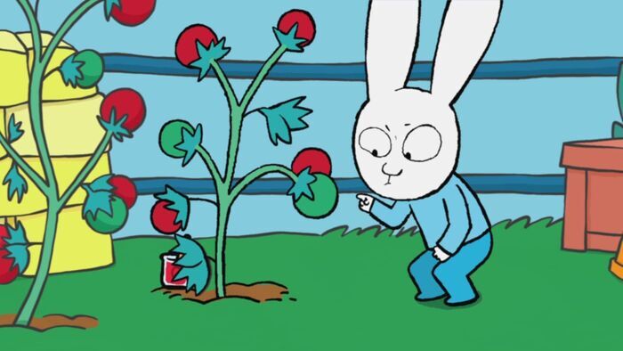 Vignette du programme télé Simon