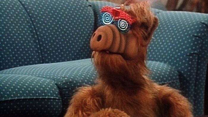 Vignette du programme télé Alf