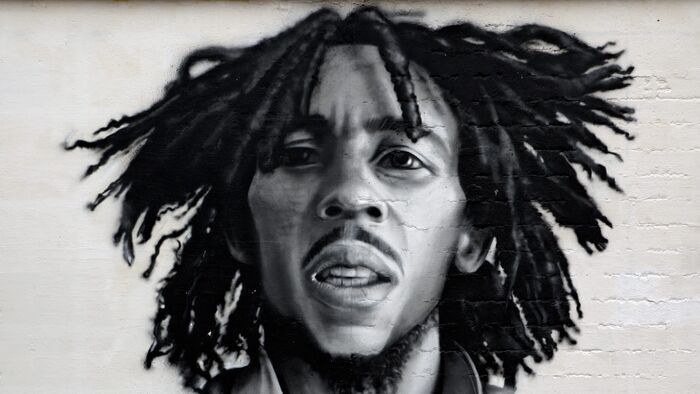 Vignette du programme télé La story de Bob Marley