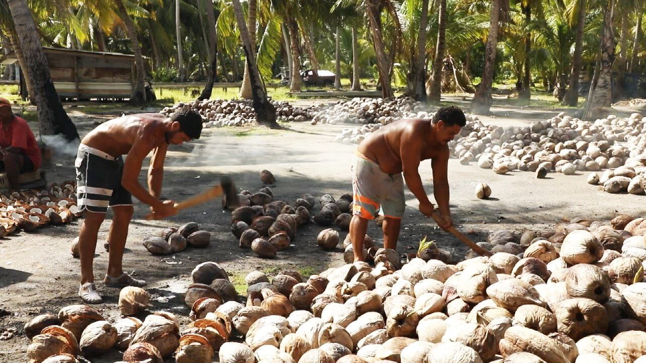 Vignette du programme télé Le monoï : l'huile aux trésors