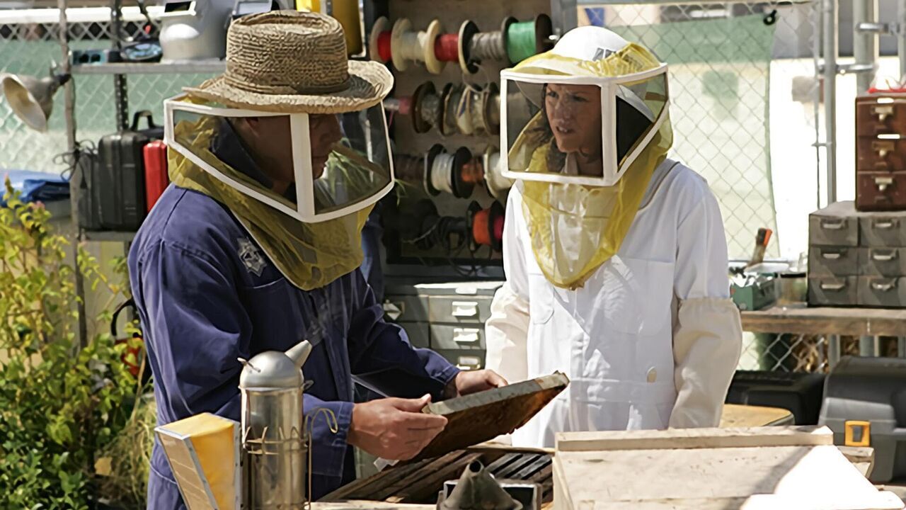 Vignette du programme télé Les experts
