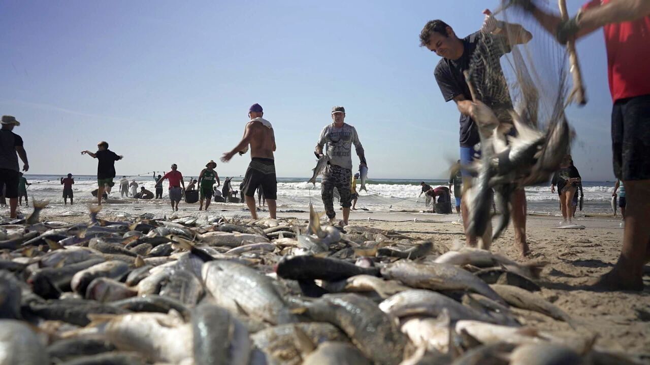 Vignette du programme télé Brésil, une vie de pêcheurs
