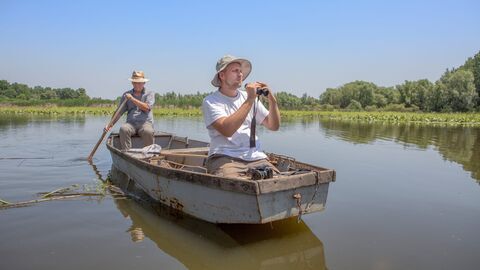 Vignette du programme télé La beauté sauvage des Balkans