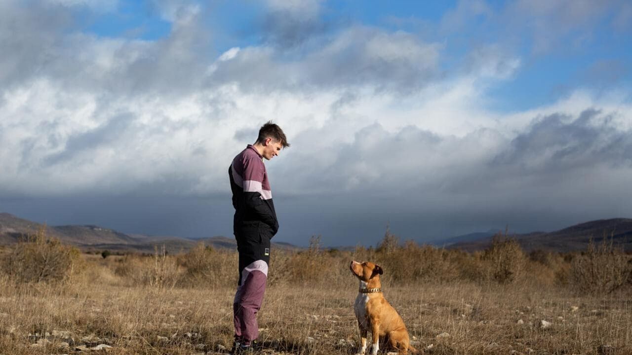 Vignette du programme télé Chien de la casse