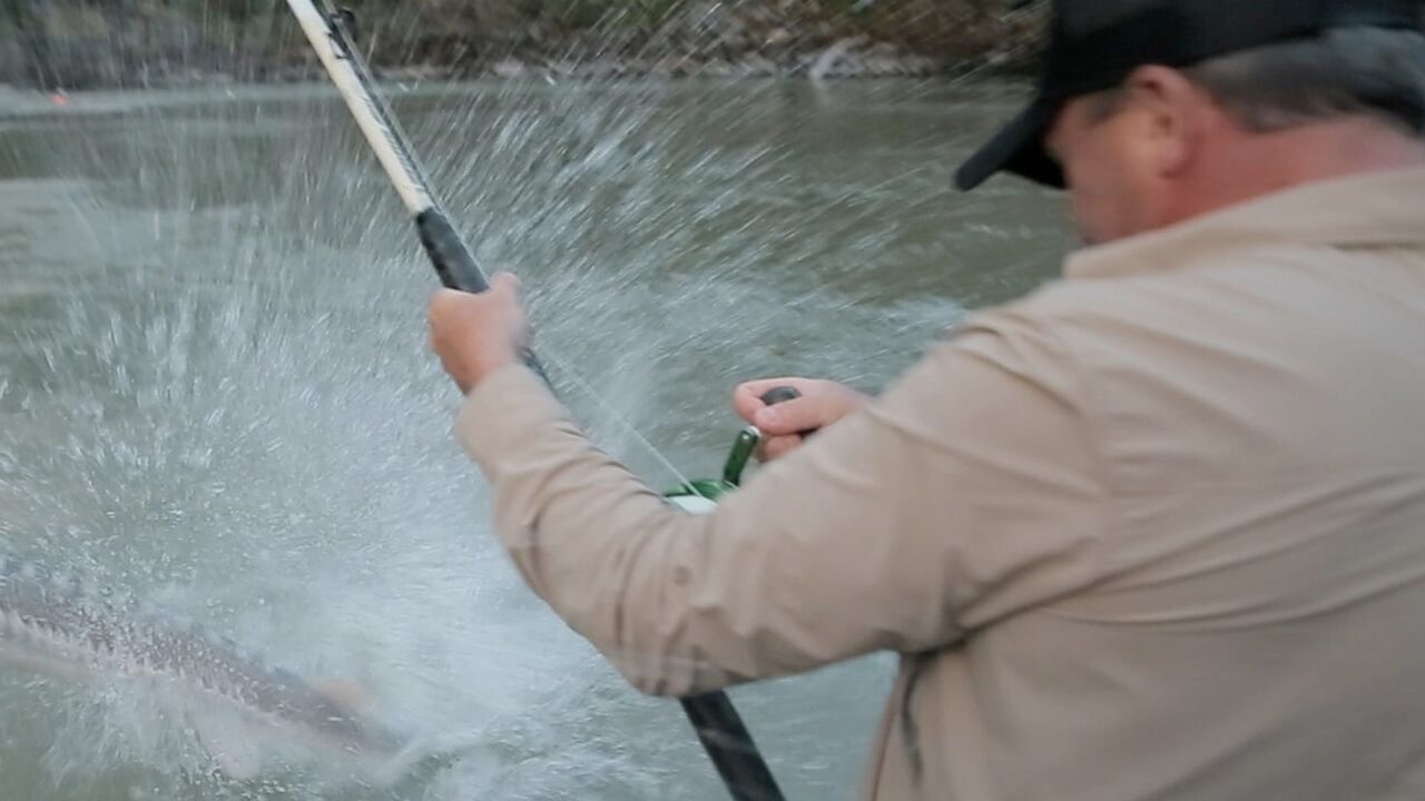 Vignette du programme télé Pêche XXL