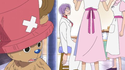 Vignette du programme télé One Piece