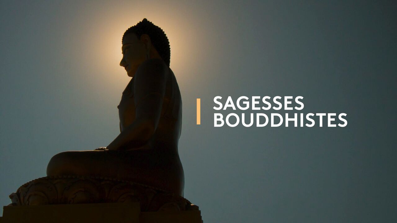 Vignette du programme télé Sagesses bouddhistes