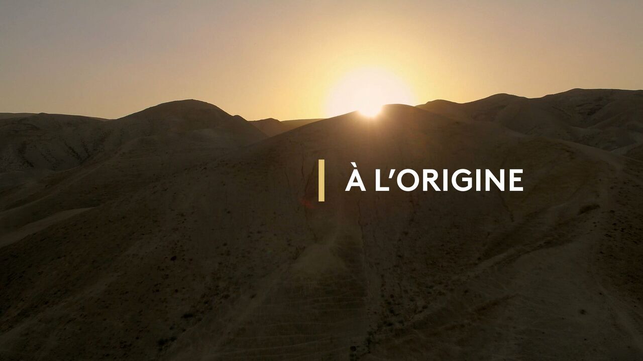 Vignette du programme télé A l'origine