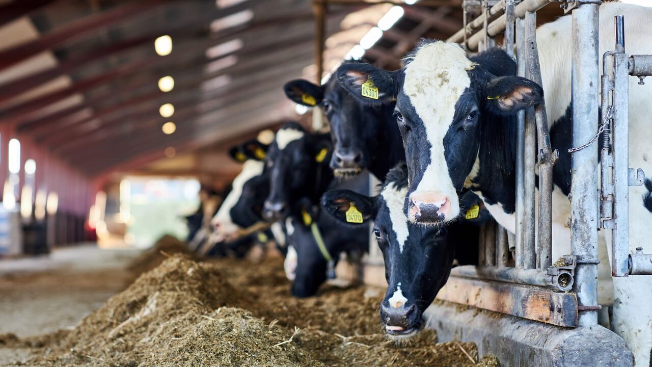 Vignette du programme télé L'agriculture c'est là-haut aussi