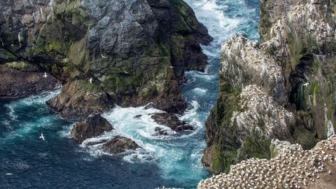 Vignette du programme télé Terres sauvages du Grand Nord