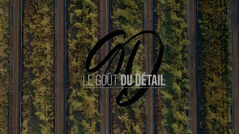Vignette du programme télé Le goût du détail