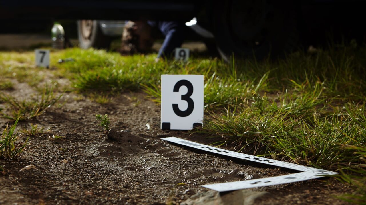 Vignette du programme télé Crimes