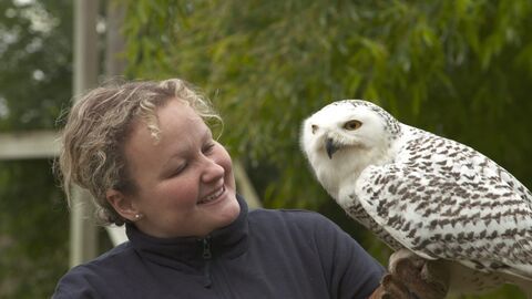 Vignette du programme télé Une saison au zoo